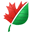 ImageConverter Plus icon